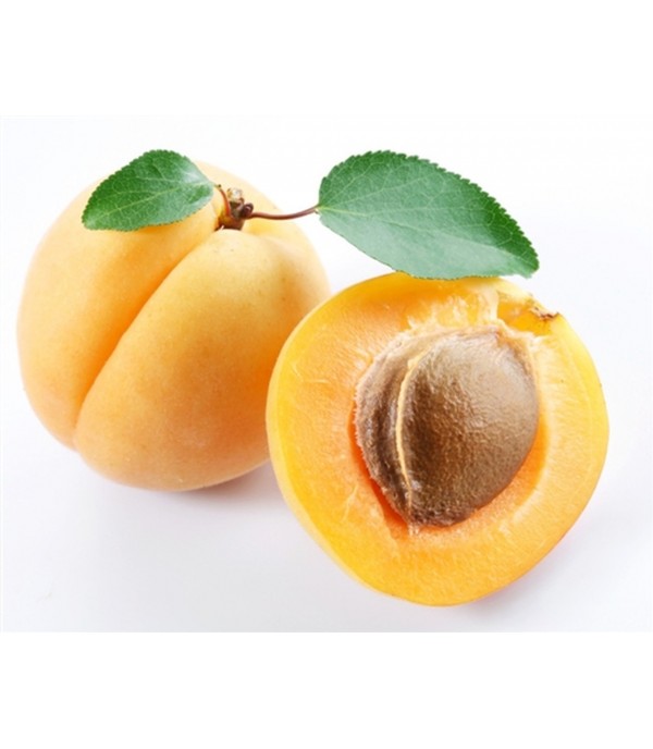 Apricot