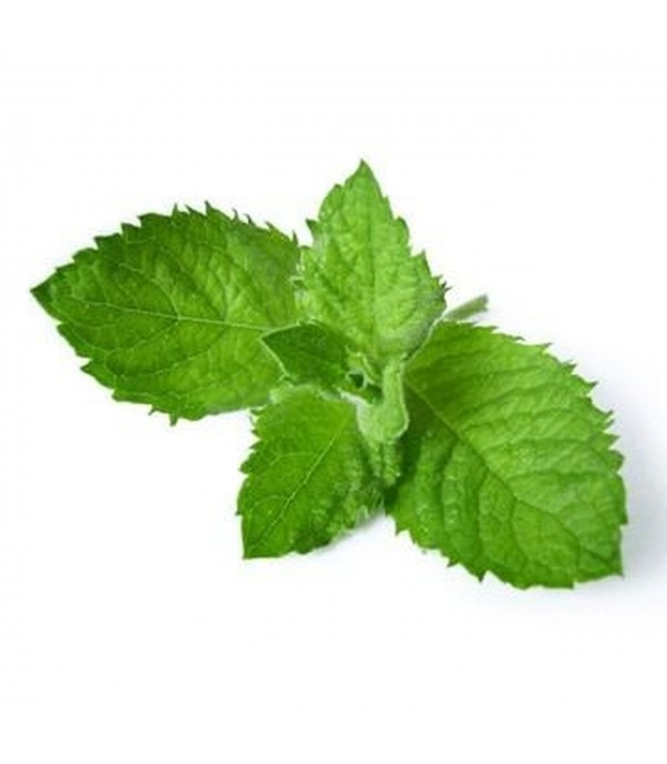 Menthol