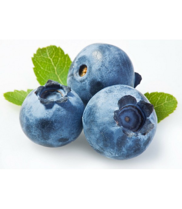 BlueBerry Burst